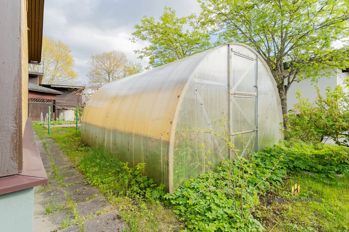 Paikuse alev, Pärnu linn, Pärnu maakond